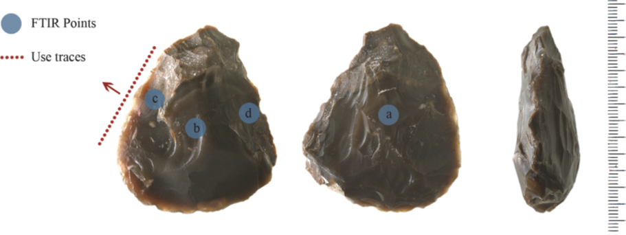 Fig. 9. A handaxe with residues of animal fat.